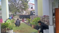 Karyawan GBH mencabut rumput dan membersihkan halaman Masjid Baiturrahman Wamena, Jayawijaya, Papua Pegunungan. - Wagadei/Yas Wenda.