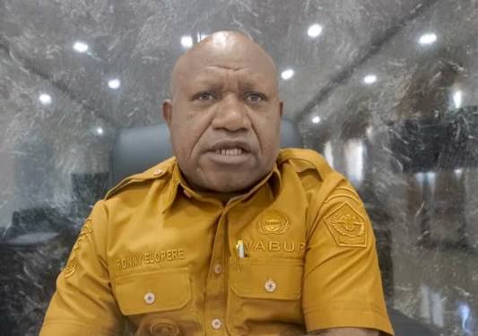 Wakil Bupati Jayawijaya, Ronny Elopere