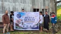 Dalam rangka berbagi keberkahan di Hari Raya Iduladha 1447 Hijriah, Pertamina Patra Niaga Regional Papua Maluku menyalurkan 134 ekor daging kurban, yang terdiri dari 76 ekor sapi dan 58 ekor kambing di berbagai wilayah operasional perusahaan.