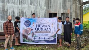 Dalam rangka berbagi keberkahan di Hari Raya Iduladha 1447 Hijriah, Pertamina Patra Niaga Regional Papua Maluku menyalurkan 134 ekor daging kurban, yang terdiri dari 76 ekor sapi dan 58 ekor kambing di berbagai wilayah operasional perusahaan.
