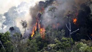 Penyebab-Kebakaran-Hutan-di-Indonesia_802660